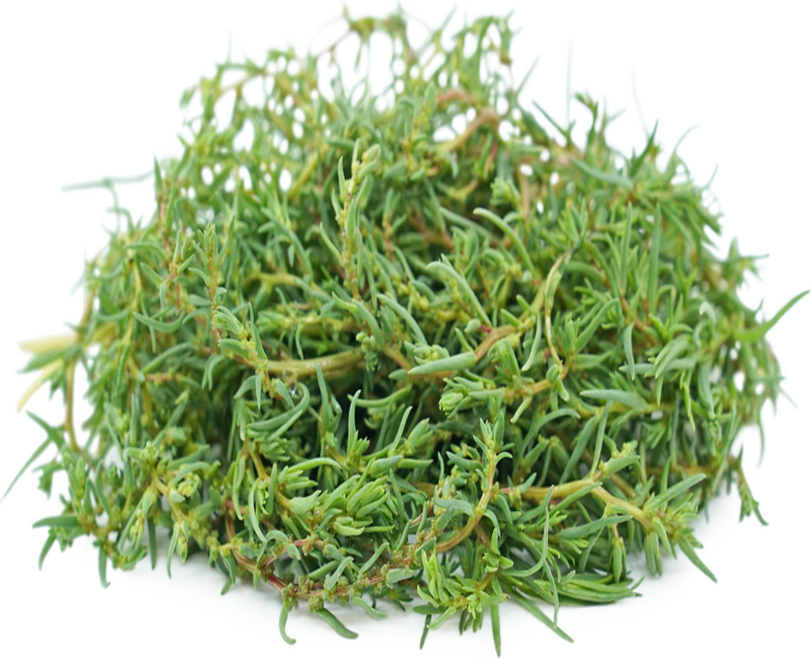 Romeritos limpio kilo