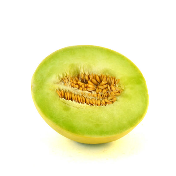 Melón Valenciano  pieza
