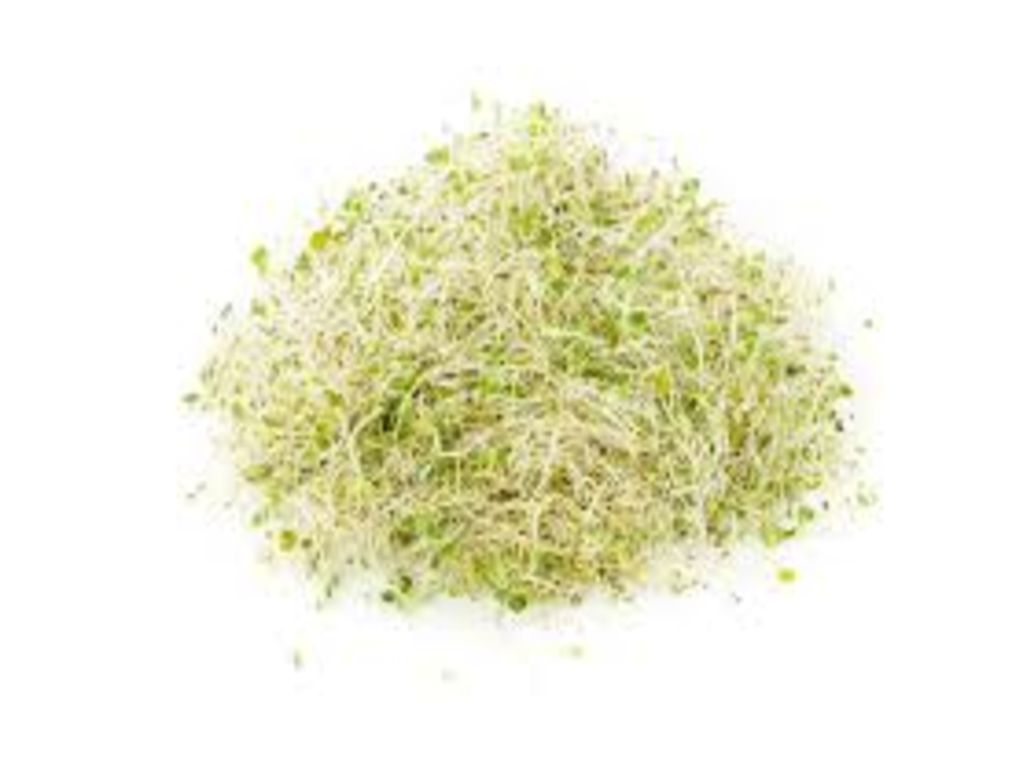 Germen de alfalfa Domo (250 g)