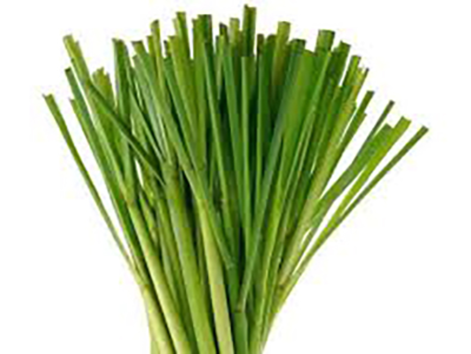 Té de limón manojo (500g)