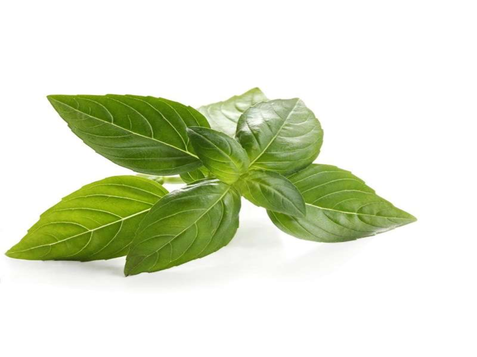 Albahaca manojo (150g)