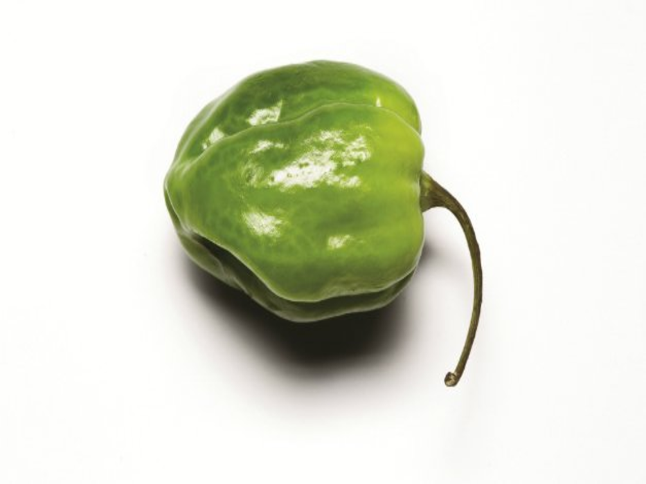 Chile Habanero verde kilo