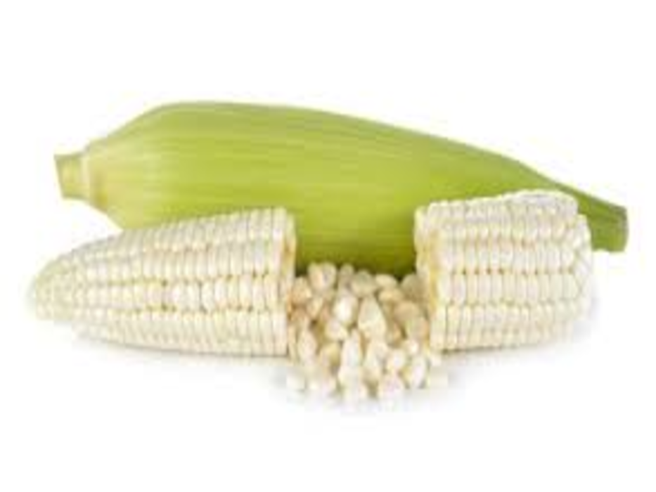 Elote en Grano kilo