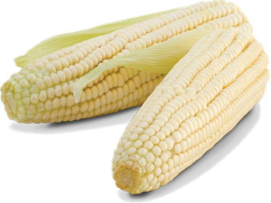 Elote mediano pieza
